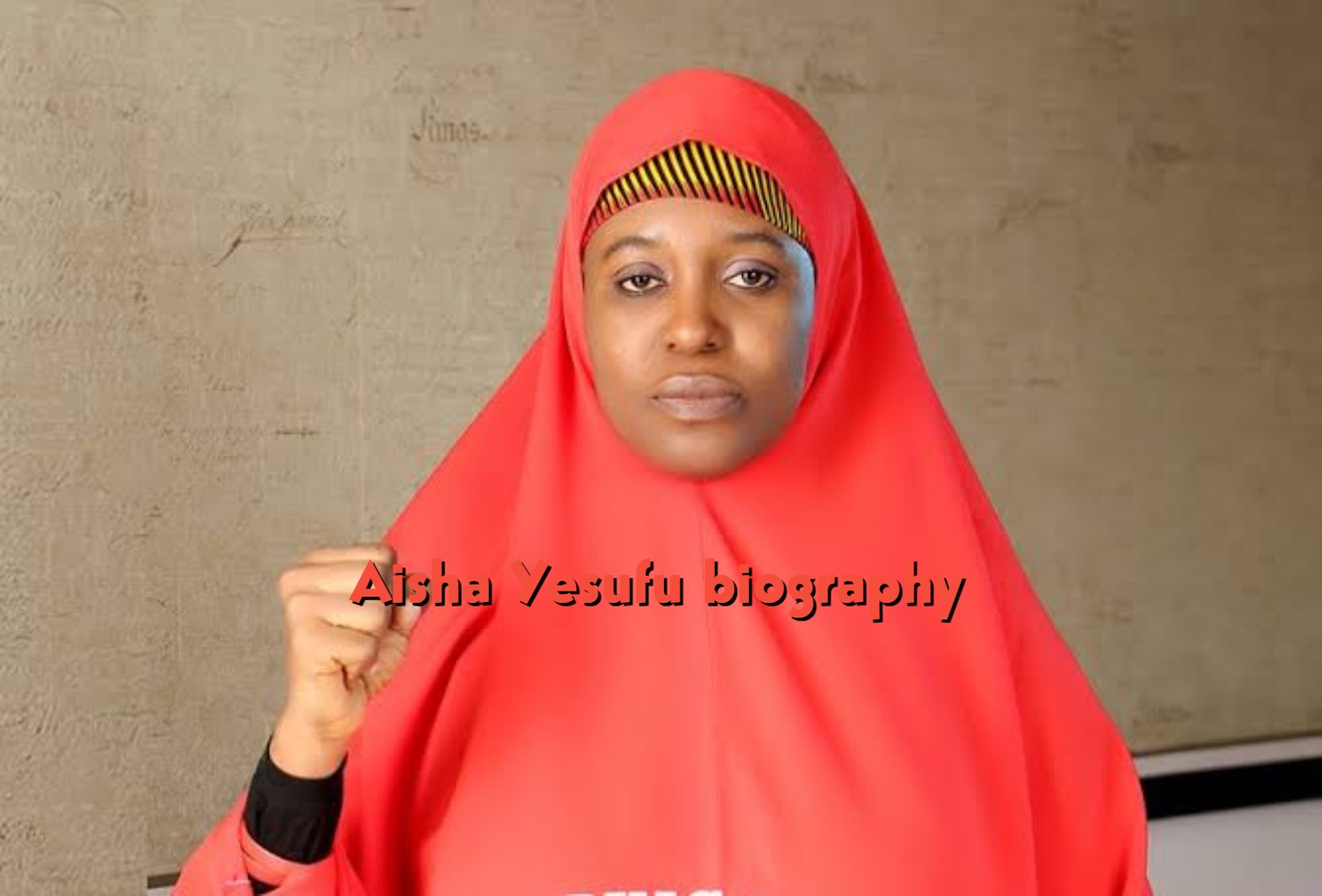 Aisha Yesufu Biography: The Story of the Nigerian Activist