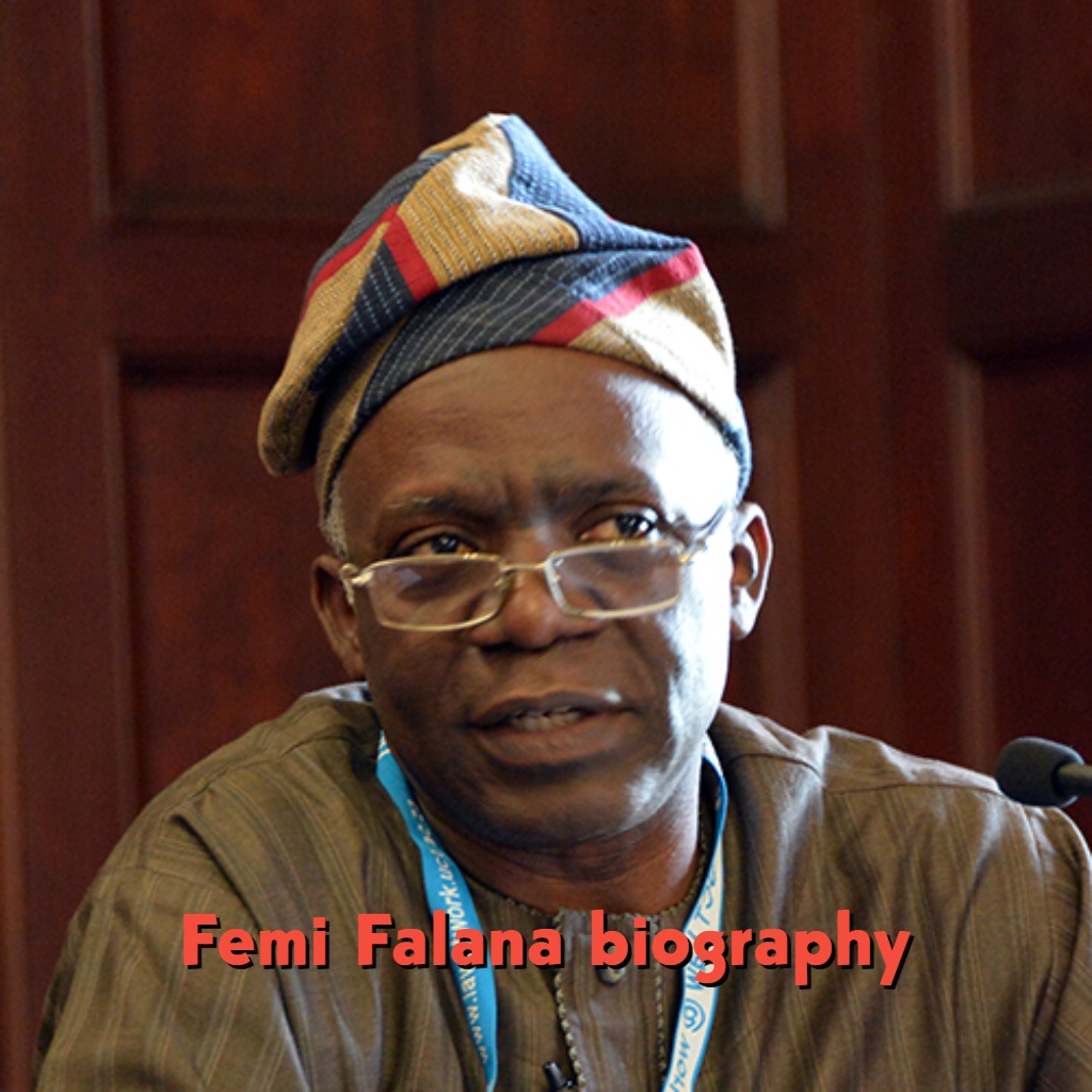 Femi Falana Biography