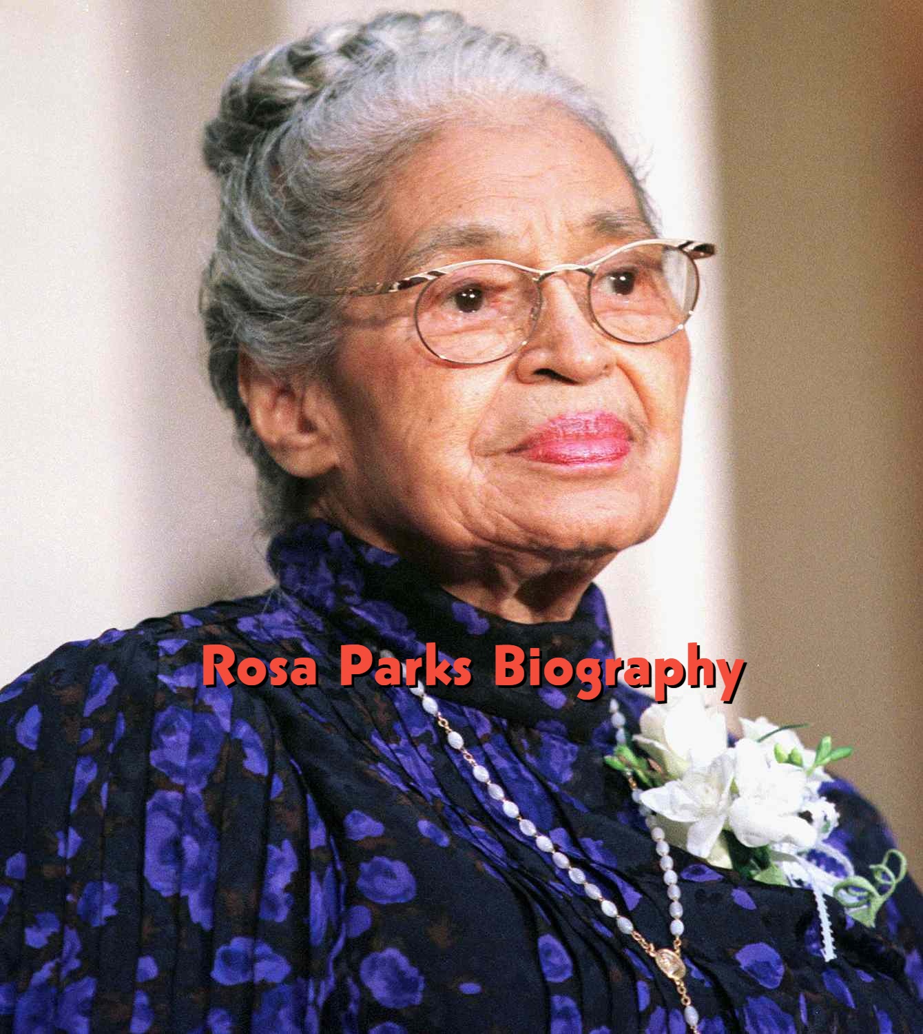 Rosa Parks Biography: Age, Husband, Children, Education, Activism, Bus Boycott and Legacy